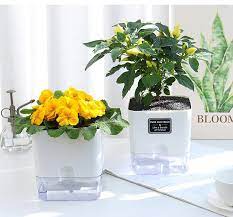 Product: Self-Watering Pots